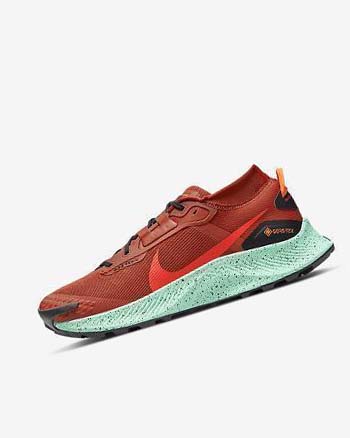 Nike Pegasus Trail 3 GORE-TEX Impermeables Naranjas Negros Naranjas Rojos | MX 2326
